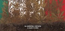 Aldo Flores – La mostra vietata